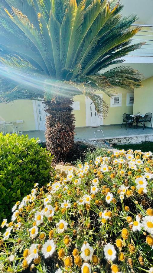 Villa Maestral Zadar Eksteriør billede