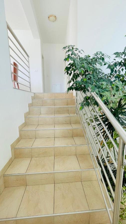 Villa Maestral Zadar Eksteriør billede